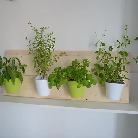 Nika Apartman *