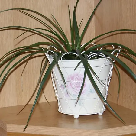 アパート Nika ザダル